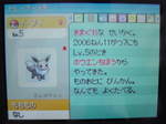 ポケモン ダイヤモンド パール のんびり攻略日記 銀色のイーブイ